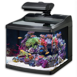 Oceanic Biocube HQI 29 gallon