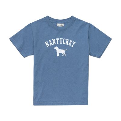 Comfort Wash Youth Tee Lake Dog