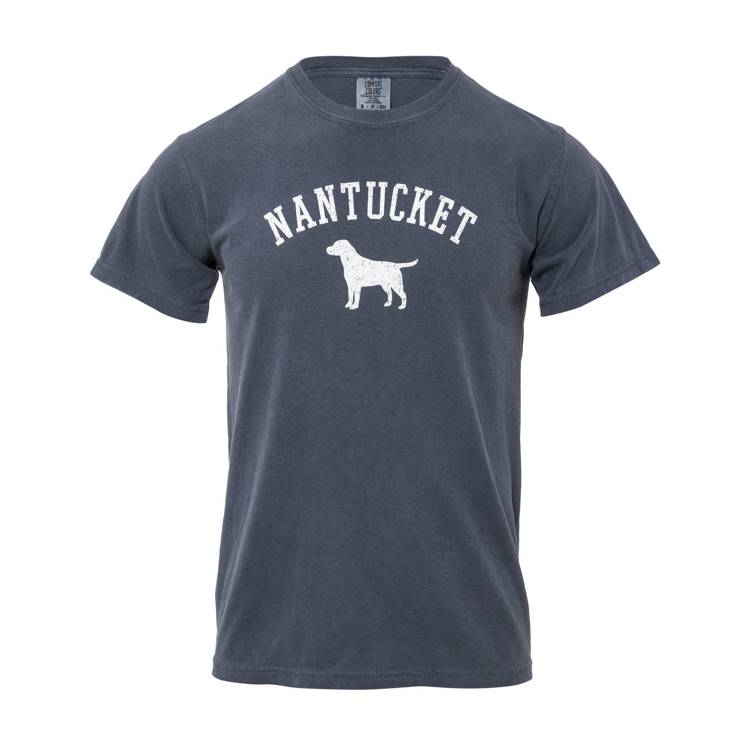CC Mens Tee Lake Dog, Color: Denim, Size: S