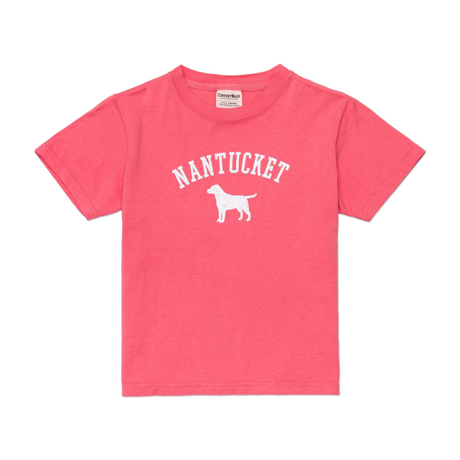 Comfort Wash Youth Tee Lake Dog, Color: Pink, Size: XS