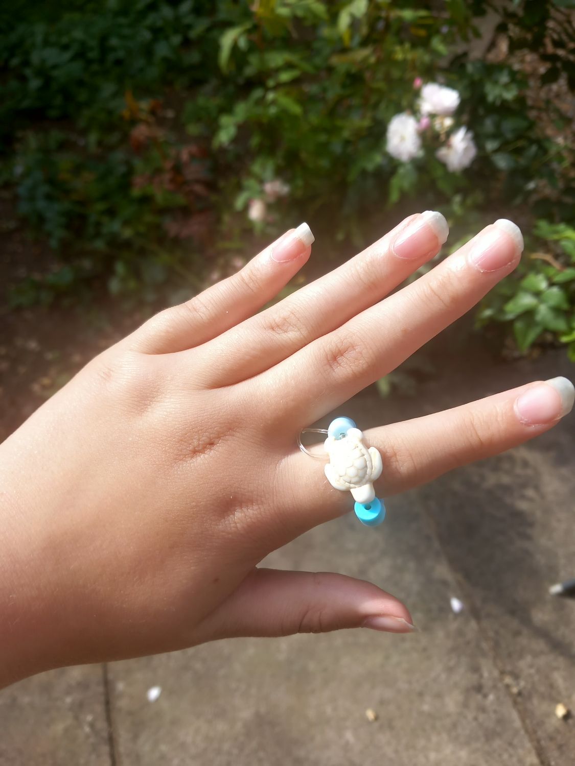 Coastal Ring