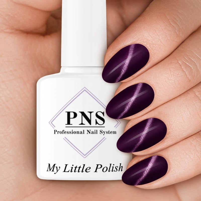PNS MLP antwerpen (Cat-Eye 4.0)