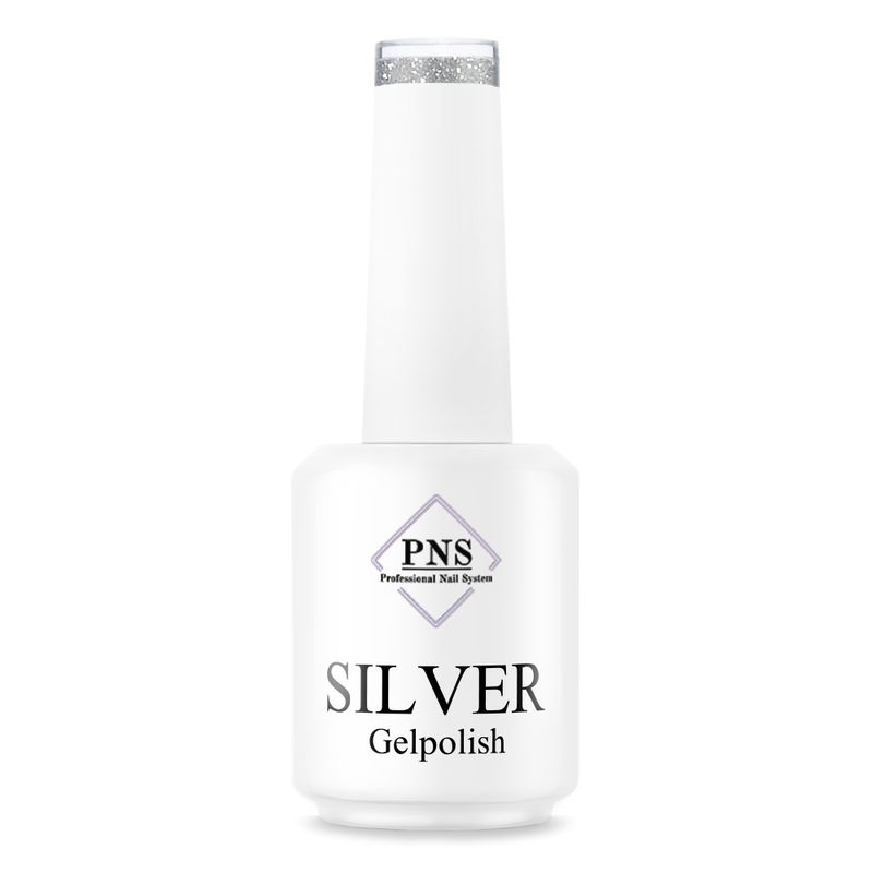 PNS GP Silver