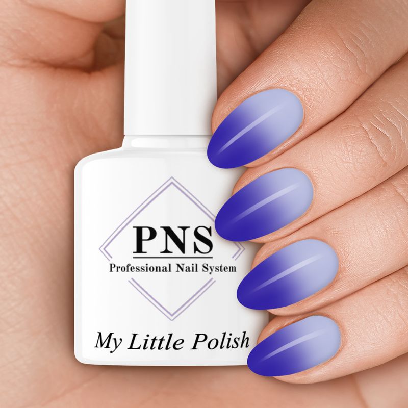PNS MLP Bo en flo (thermo)