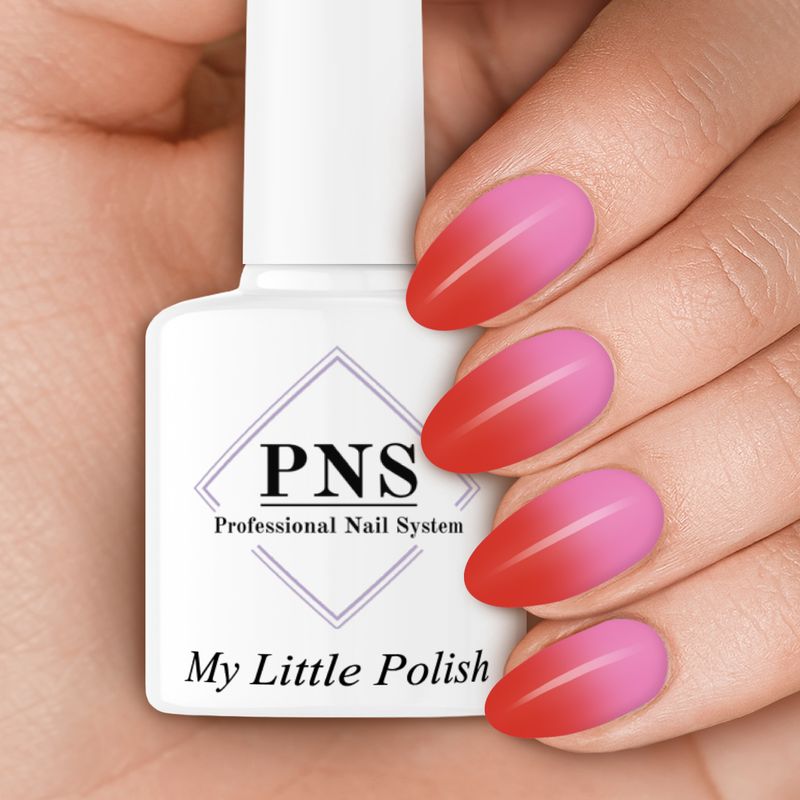 PNS MLP chip en chop (thermo)