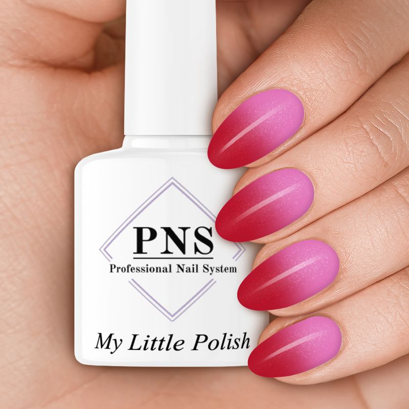 PNS MLP ping en pong (thermo)