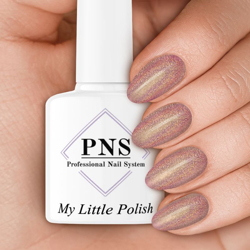 PNS MLP 4021 (Rainbow 2)