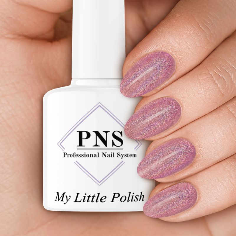 PNS MLP 4022 (Rainbow 2)