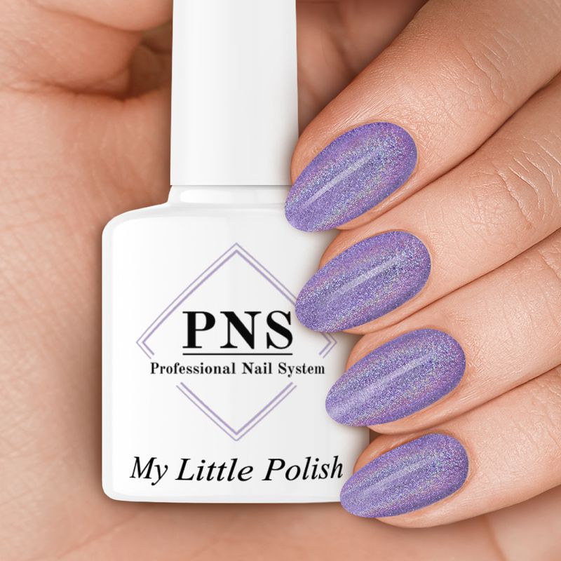 PNS MLP 4023 (Rainbow 2)