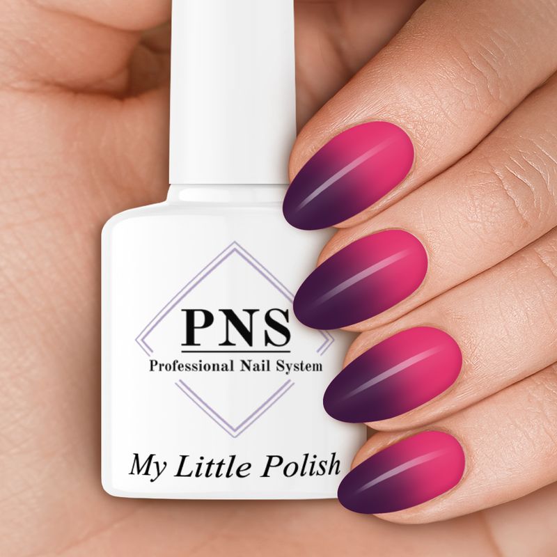 PNS MLP x & box