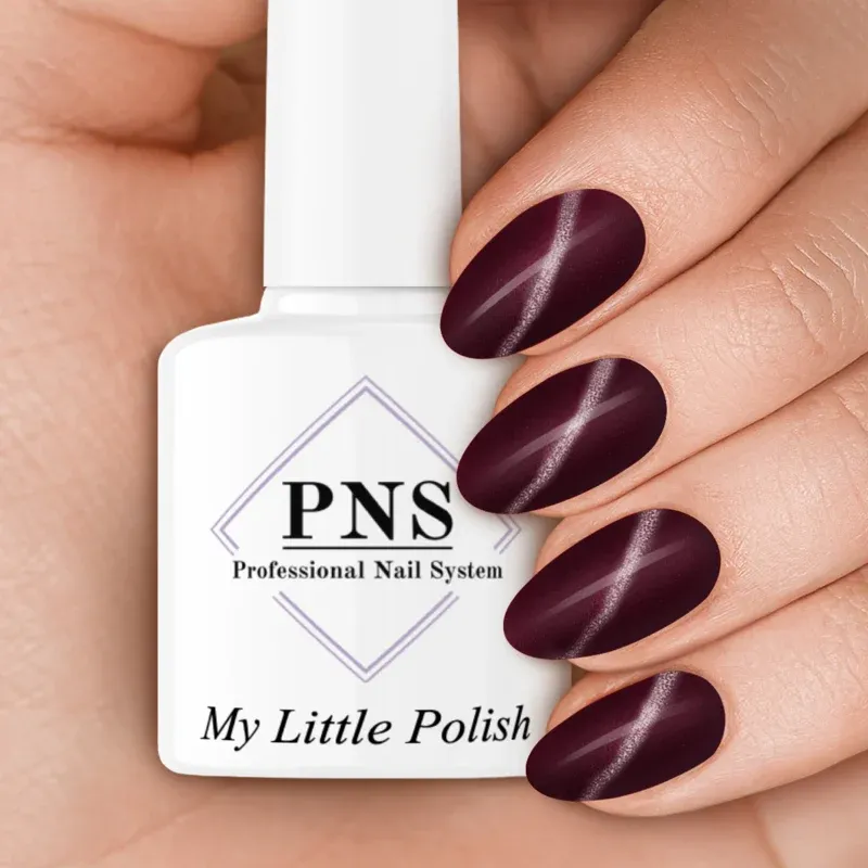 PNS MLP maasticht (Cat-Eye 3.0)
