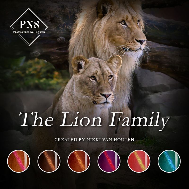 PNS MLP the lion family collectie