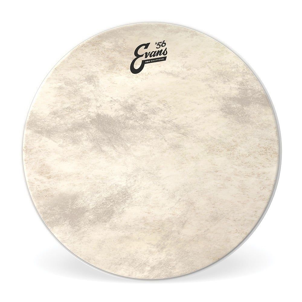 Evans Calftone EQ4 Bass Drum
