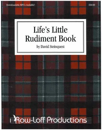 LIFE’S LITTLE RUDIMENT BOOK by DAVID STEINQUEST