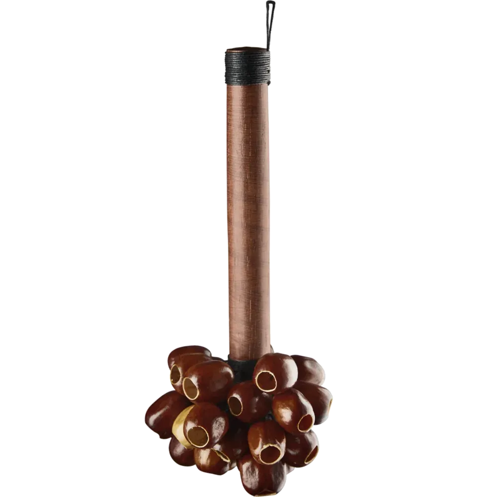 Meinl Sonic Energy Pala Rod Shaker