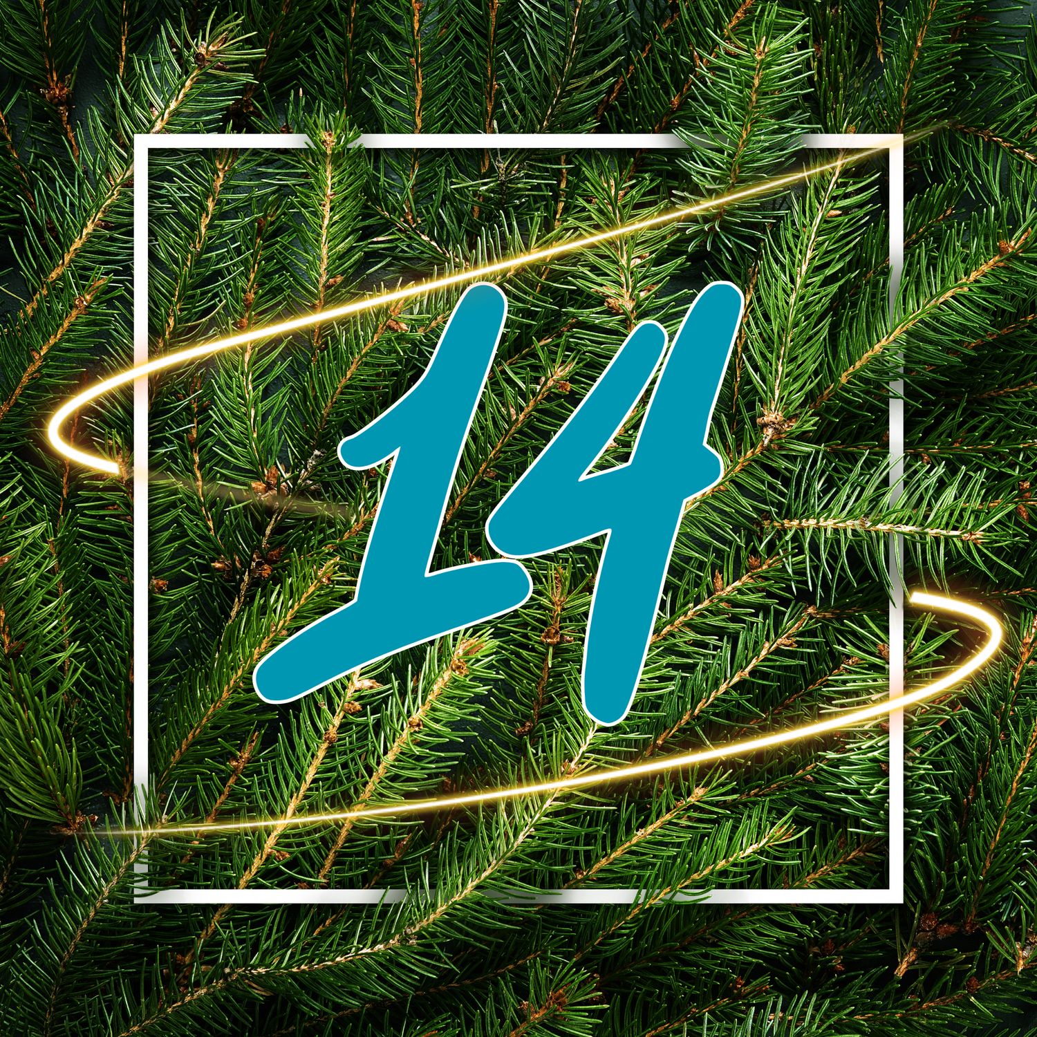 mach&#39;s uf #14/24