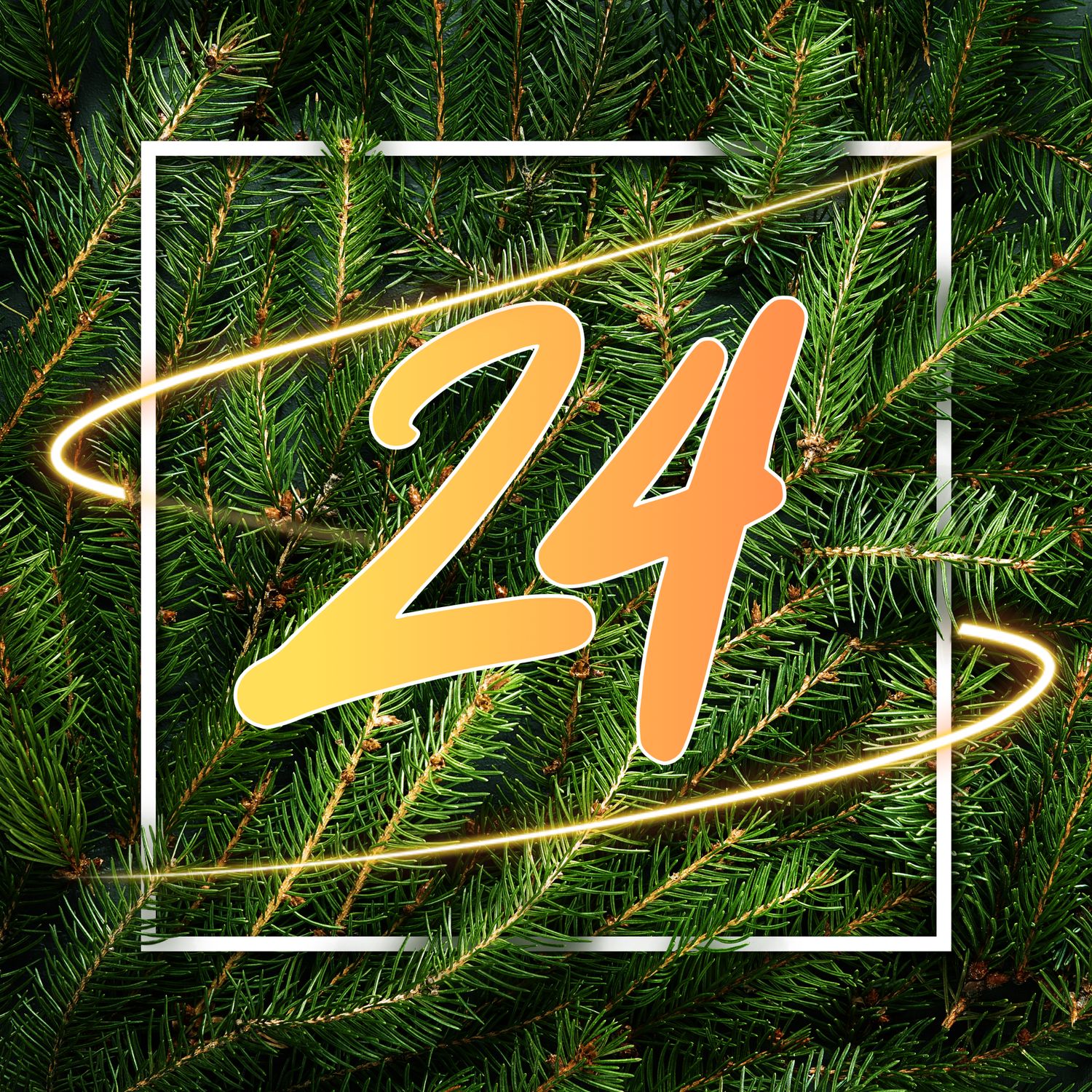 mach&#39;s uf #24/24