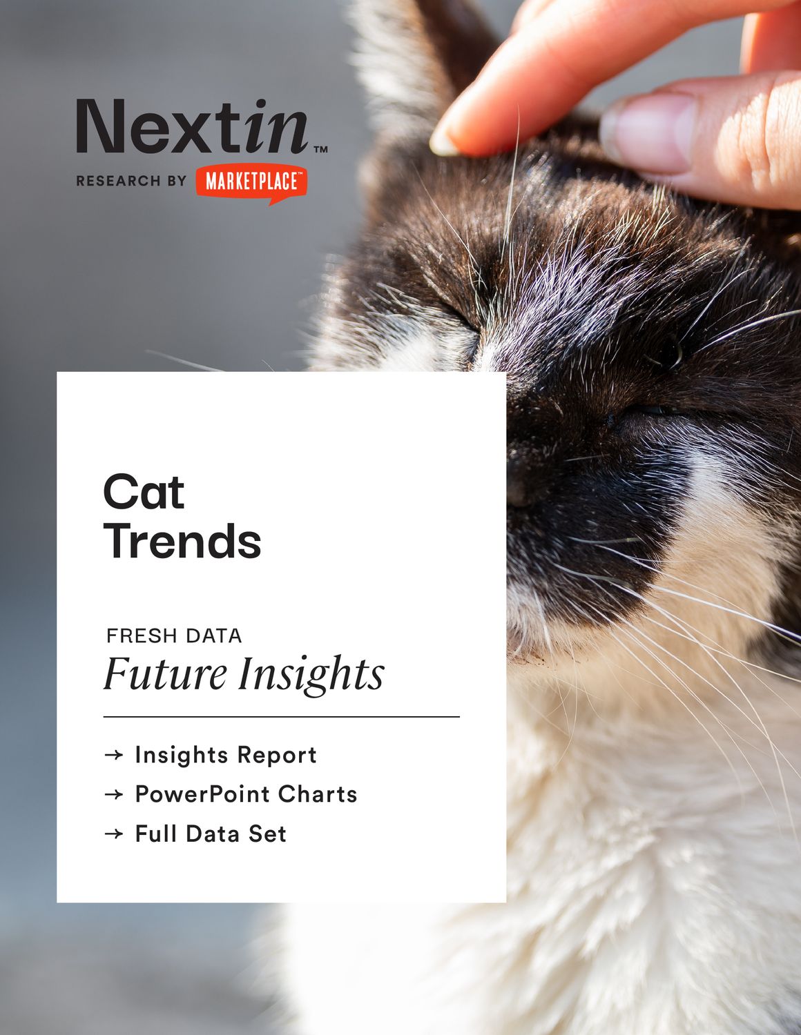 Cat Trends: Insights Report, Charts, & Data Package