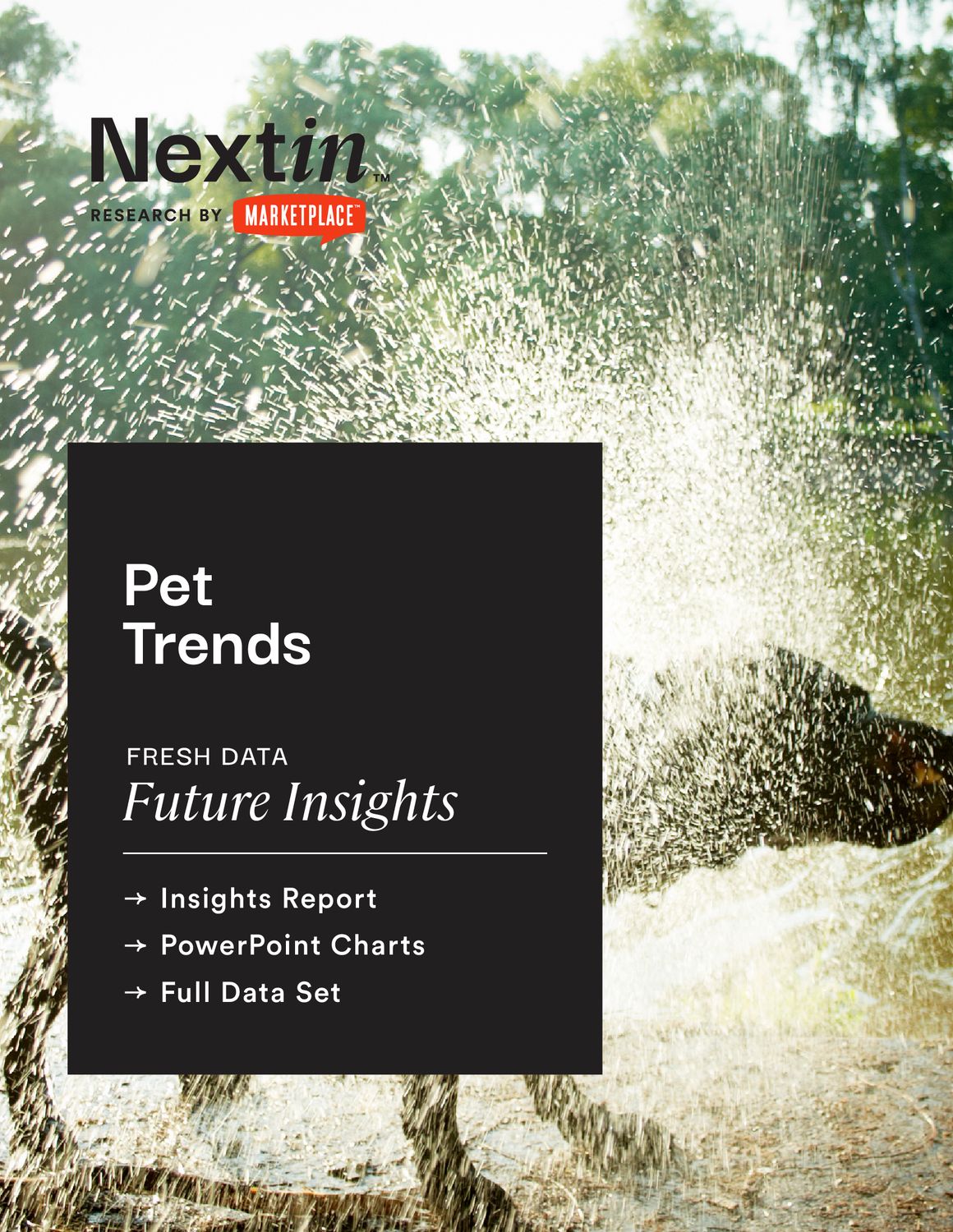 Pet Trends: Insights Report, Charts, & Data Package