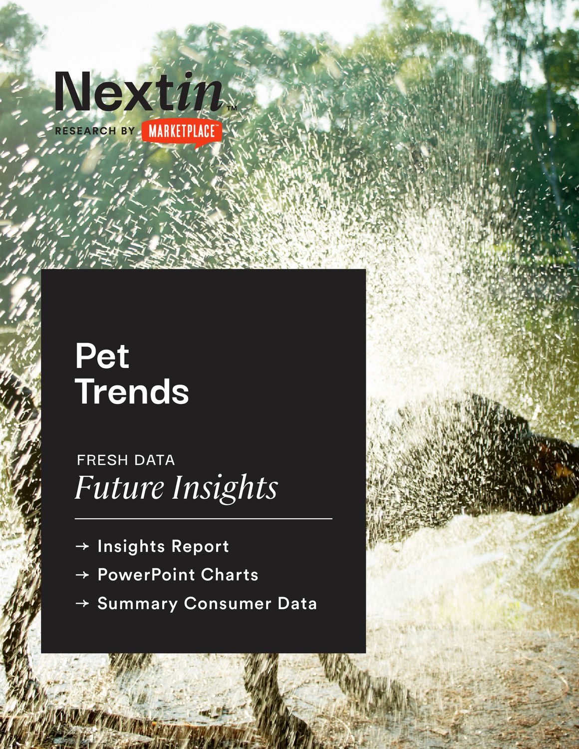 Pet Trends: Insights Report, Charts, & Data Package
