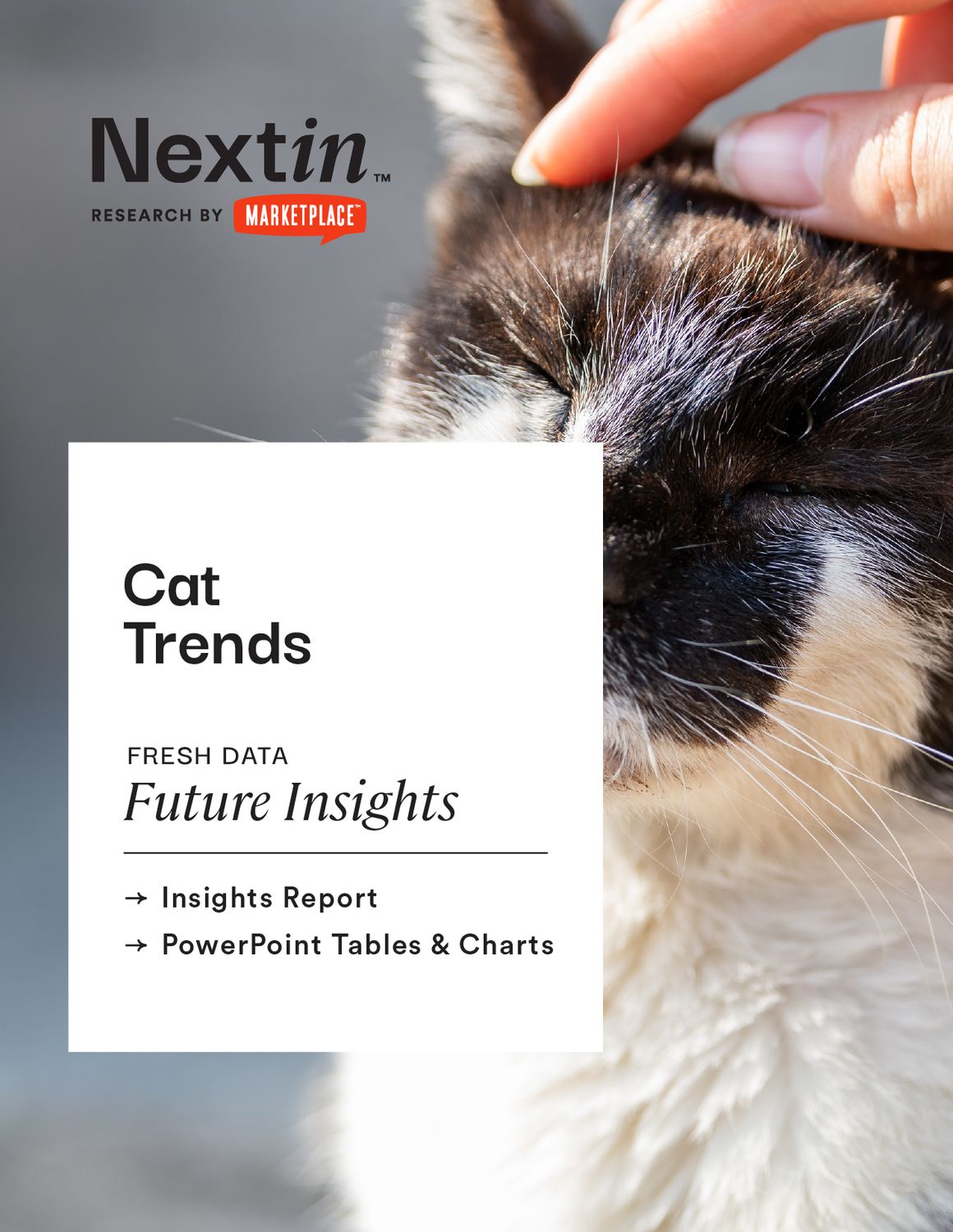 Cat Market Insights Report: Fresh Cat Trend Data, Future Insights by Nextin Research