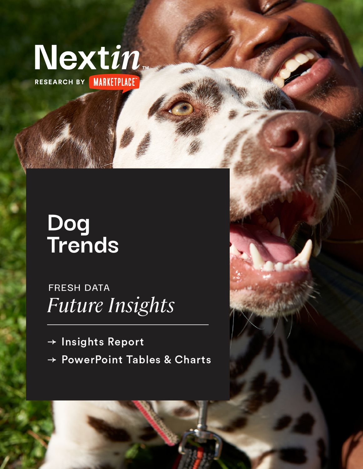 Nextin Dog Trends and Insights: Dog Report, Dog Data Tables & Charts