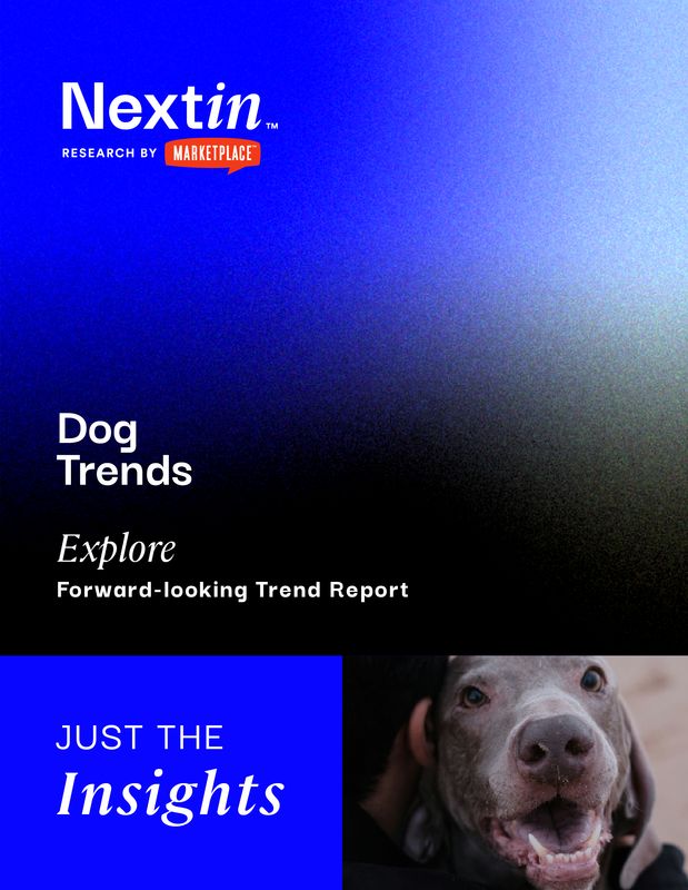 Dog Report: Just the Insights