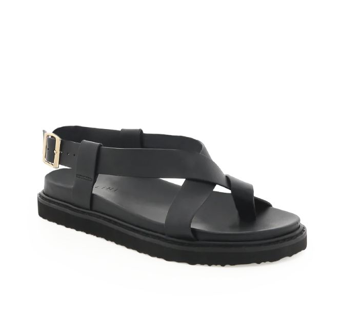 Zarai Sanadal, Size: 5