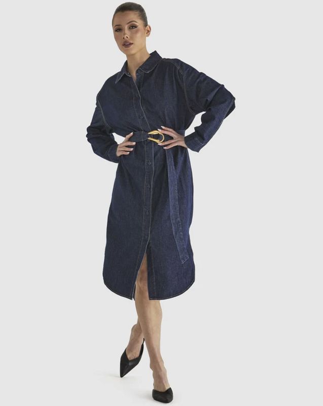 Soaring Shirt Dress