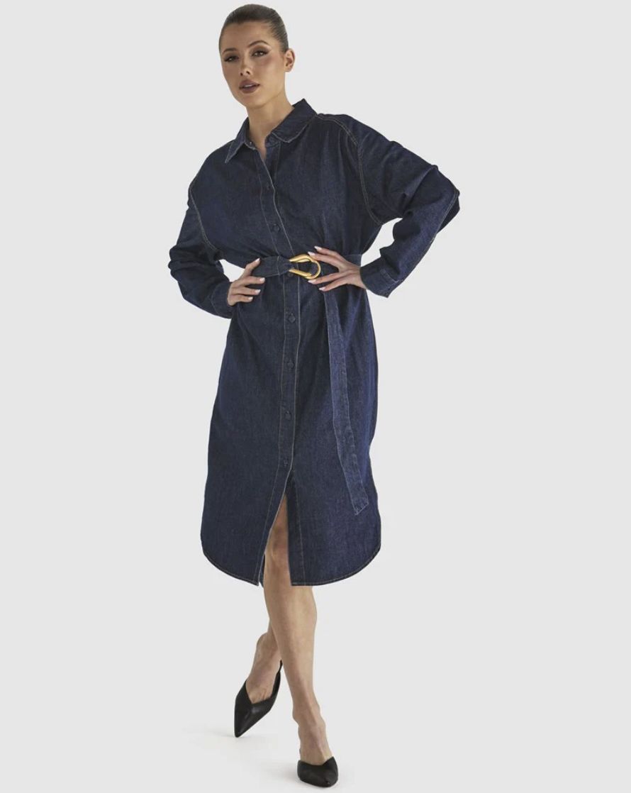 Soaring Shirt Dress, Size: 14