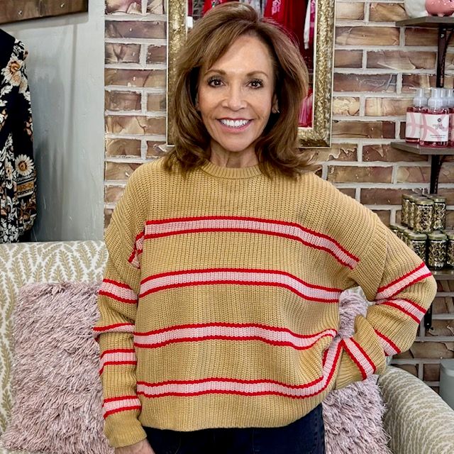 Wishlist Mocha Combo Sweater