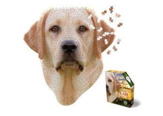 I AM LAB 550 PC
