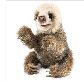 BABY SLOTH