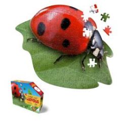 I AM LiL&#39; LADYBUG 100 PC