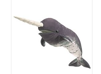 NARWHAL