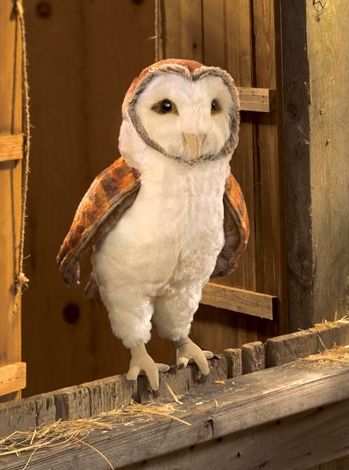 BARN OWL