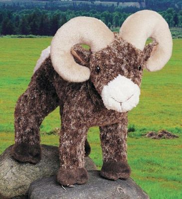 TETON BIG HORN SHEEP