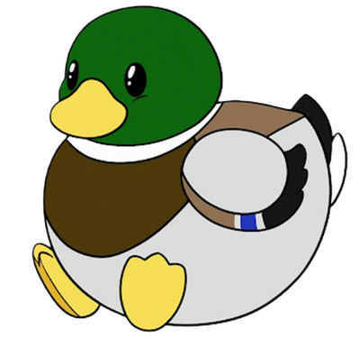 MALLARD DUCK