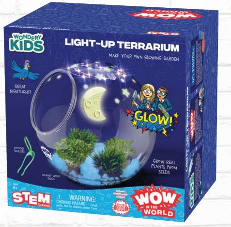 LIGHT UP TERRARIUM