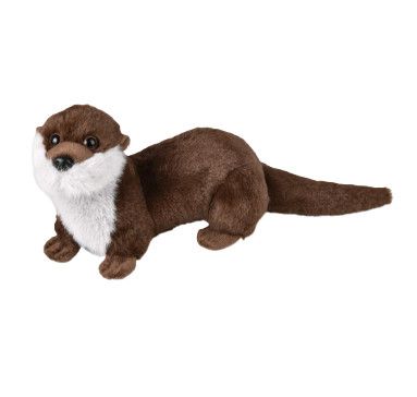 RIVER OTTER
