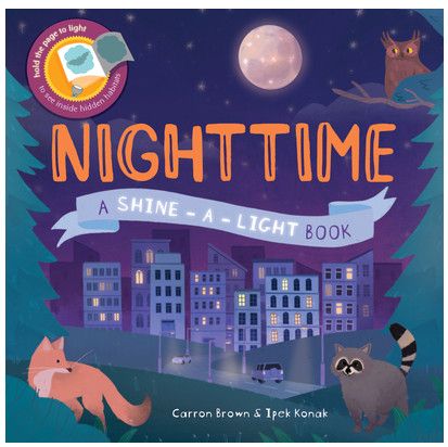 SHINE A LIGHT NIGHTTIME