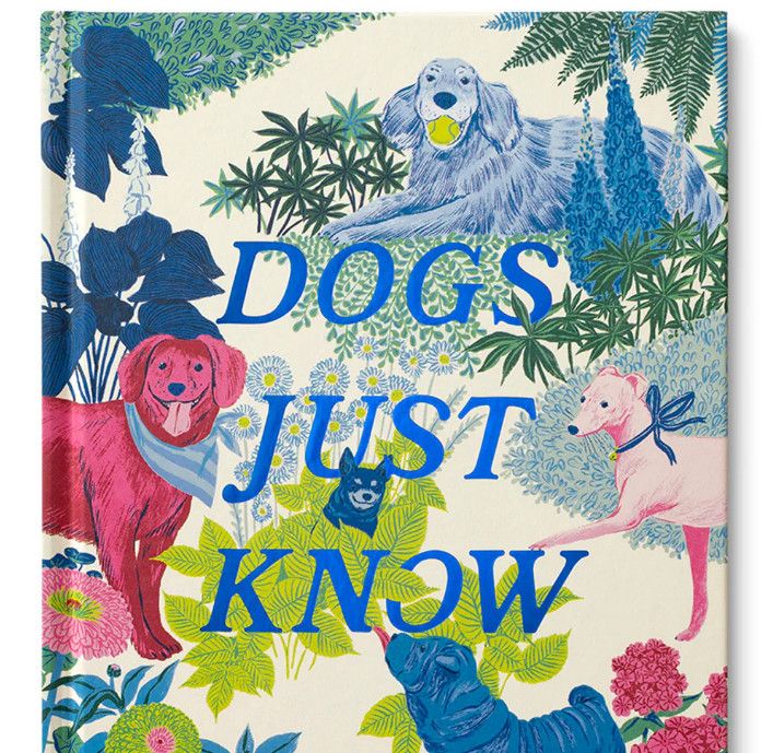 DOGS JUST KNOW