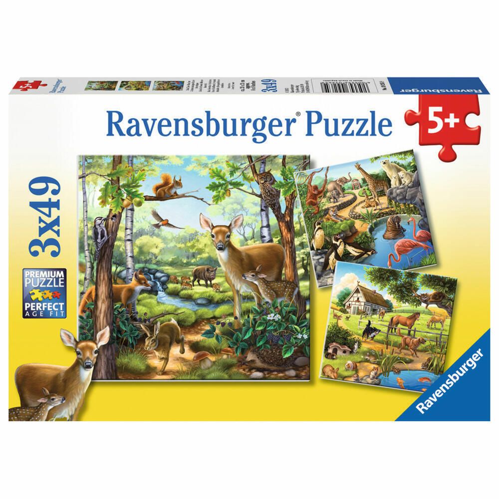 FOREST ZOO 3 X 49 PC