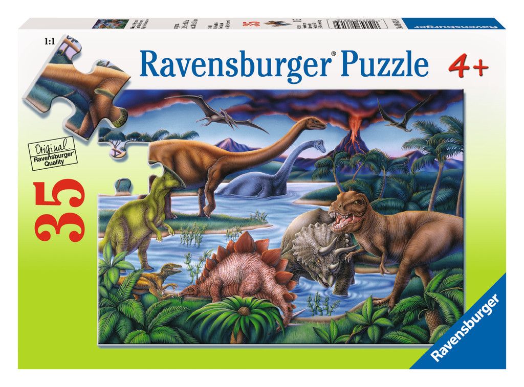 DINOSAUR PLAYGROUND 35 PC