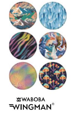 WINGMAN DISC