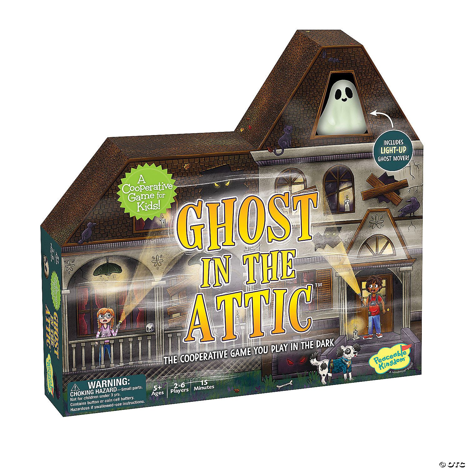 GHOSTS IN THE ATTIC