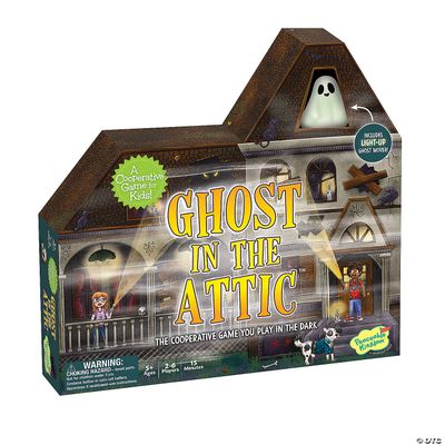 GHOSTS IN THE ATTIC