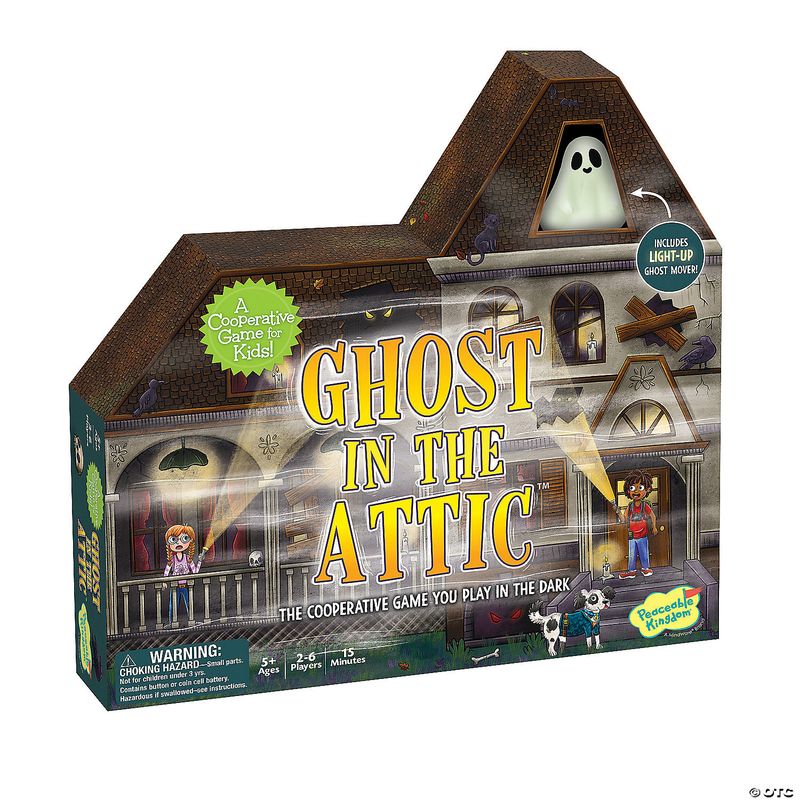 GHOSTS IN THE ATTIC