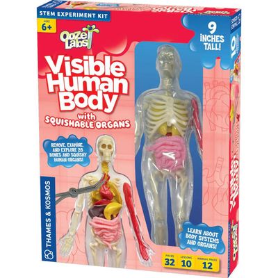 VISIBLE HUMAN BODY