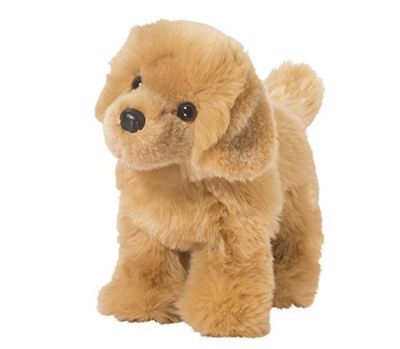 CHAP GOLDEN RETRIEVER